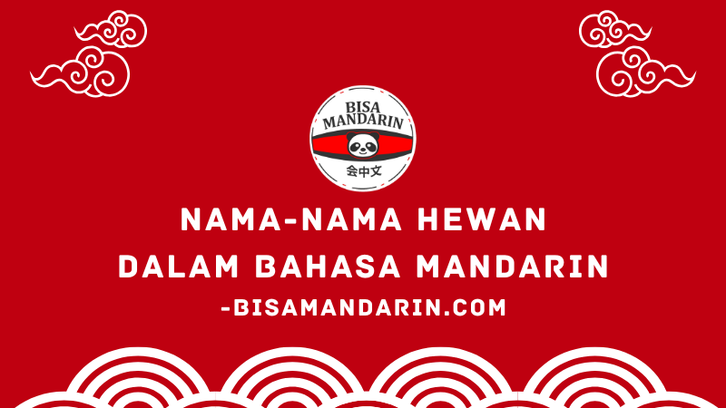 Nama-Nama Hewan dalam Bahasa Mandarin